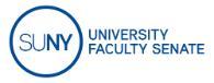 University Faculty Senate